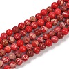 Dyed Natural Regalite/Imperial Jasper/Sea Sediment Jasper Beads Strands G-B124-C04-16-1