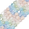 Electroplate Glass Beads Strands EGLA-G039-05A-01-1