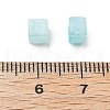 Transparent Acrylic Beads OACR-H044-04A-02-3