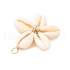 Natural Mixed Cowrie Shell Pendants PALLOY-JF03859-01-4