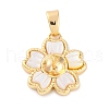 Brass Pendant Bails KK-A232-04G-1
