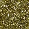 Spray Painted Glass Seed Beads SEED-F005-02A-04-3