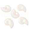 Transparent Resin Cabochons CRES-D306-02-2