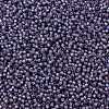 TOHO Round Seed Beads SEED-TR11-2124-2