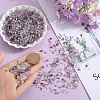 SOFPLATE 500G Natural Amethyst Chip Beads G-SP0001-10-3
