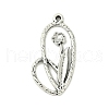 Alloy Pendants PALLOY-EA11056Y-AS-NF-1