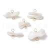 Natural Trochid Shell Connector Charms PALLOY-JF02810-02-1