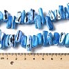 Dyed Natural Trochus Shell Beads Strands SSHEL-C013-09F-4
