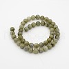 Natural Labradorite Round Beads Strands G-N0148-05-10mm-2