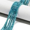 Natural Blue Apatit Beads Strands G-H042-B12-01B-2
