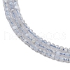 Natural Blue Lace Agate Beads Strands G-Z074-A01-03-4