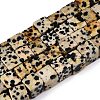 Natural Dalmatian Jasper Beads Strands G-T139-8x8-17A-4