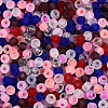 Frosted Glass Seed Beads SEED-N007-21B-3