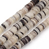 Black Lip Shell Beads Strands X-SSHEL-Q300-008-1