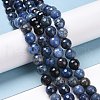 Natural Dumortierite Beads Strands G-E571-06B-4