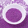 MIYUKI Delica Beads SEED-X0054-DB0422-2