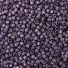 TOHO Round Seed Beads X-SEED-TR08-PF2108-2