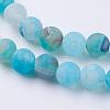 Natural Weathered Agate Beads Strands G-G589-8mm-14-3