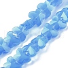 Glass Beads Strands EGLA-L045-I-2