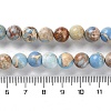 Dyed Natural Regalite/Imperial Jasper/Sea Sediment Jasper Beads Strands G-B124-C01-03-5