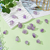 FIBLOOM 20Pcs Natural Amethyst Pendants G-FI0001-33-5