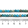 Dyed Natural Regalite/Imperial Jasper/Sea Sediment Jasper Beads Strands G-B124-C04-10-4