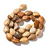 Natural Picture Jasper Beads Strands G-I377-A17-3