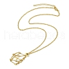Crystal Cage Holder Necklace NJEW-JN04606-02-5