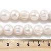 Natural Cultured Freshwater Pearl Beads Strands PEAR-C003-21B-5