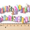 Dyed Natural Trochus Shell Beads Strands X-SSHEL-C013-09G-4