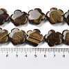 Natural Tiger Eye Beads Strands G-F769-H01-02-5