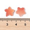 Imitation Candy Food Style Resin Cabochons RESI-R461-02B-3