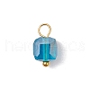 21Pcs Glass Charms PALLOY-JF03218-4