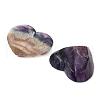 Natural Fluorite Carved Heart Figurines Statues for Home Desktop Decoration DJEW-A016-01-2