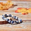 Olycraft Natural Sodalite Beads G-OC0001-24-4