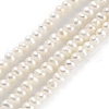 Natural Cultured Freshwater Pearl Beads Strands PEAR-C003-04B-2