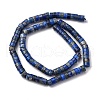 Natural Lapis Lazuli Beads Strands G-Z006-C39-3