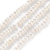 Natural Cultured Freshwater Pearl Beads Strands PEAR-C003-04C-2