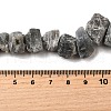 Natural Labradorite Beads Strands G-S386-B04-5