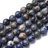 Natural Sodalite Beads Strands G-R015-B01-8mm-2