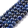 Natural Lapis Lazuli Round Beads Strands G-I181-09-8mm-1