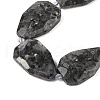 Natural Larvikite Beads Strands G-P548-B23-01-3