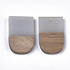 Resin & Walnut Wood Pendants RESI-S358-34A-2