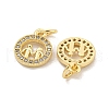Brass Micro Pave Clear Cubic Zirconia Charms KK-Z044-34G-2