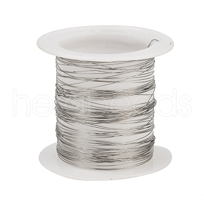 304 Stainless Steel Wire STAS-A115-01P-0.3mm-1