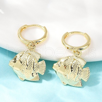Brass Hoop Earrings EJEW-Q036-03A-G-1