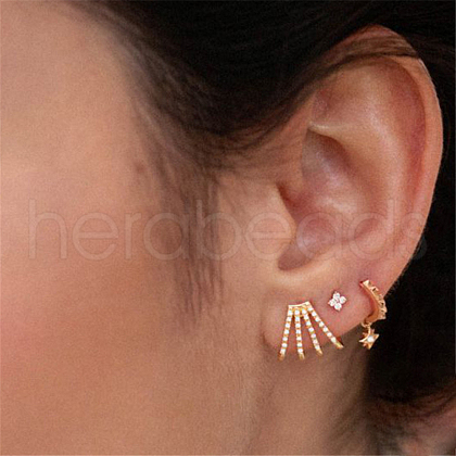 Elegant Claw S925 Sterling Silver Stud Earrings OZ6040-1