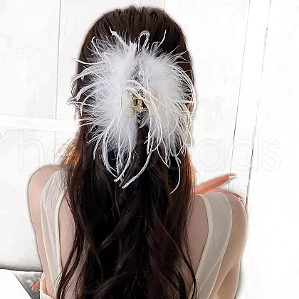 Resin Claw Hair Clips PW-WGC5436-01-1