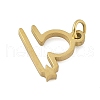 304 Stainless Steel Pendants STAS-U058-01G-07-2