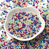 Baking Paint Glass Seed Beads SEED-P006-03A-13-2